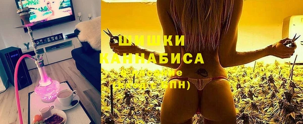 ГАЛЛЮЦИНОГЕННЫЕ ГРИБЫ Надым
