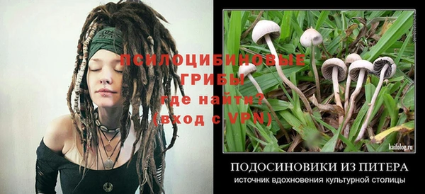 дурь Балабаново